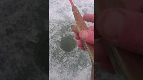 Как поймать ленка
