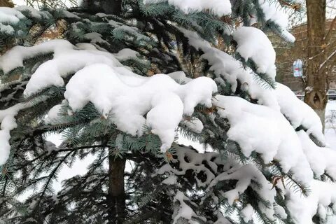 Точно зима