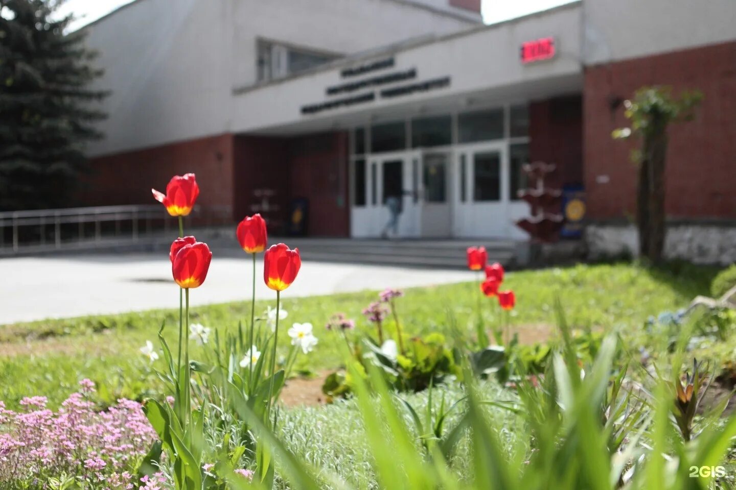 Ургпу екатеринбург. Пед екб. Пед екб. Космонавтов 26 екатеринбург институт. Ургпу екатеринбург педагогический.