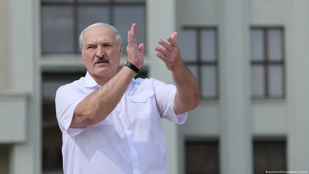 Дойдет до лукашенко. Лукашенко 2025. лукашенко деньги. лукашенко в спортивной форме. лукашенко выборы 2025.