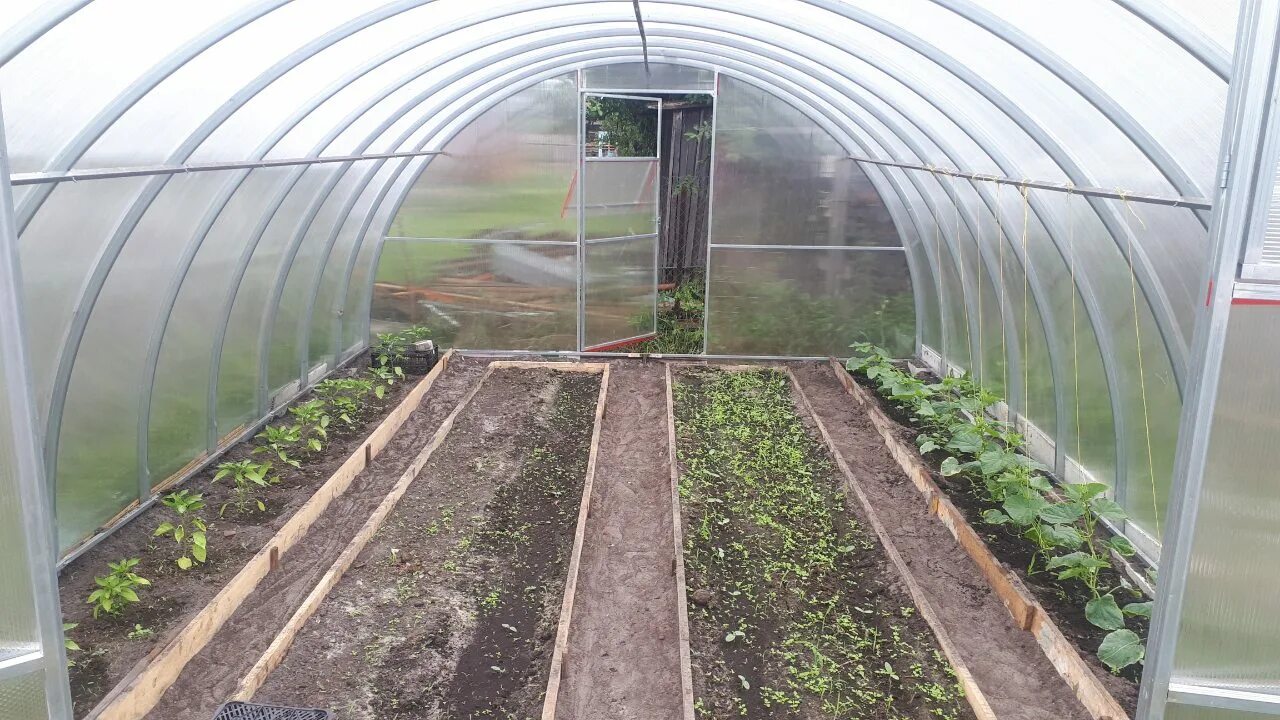 Грядка 4 метра. Бордюр оцинкованный грядка 2х1м. 2000х1000х235мм, арт. Грядка 4 метра. Грядки из плоского шифера.