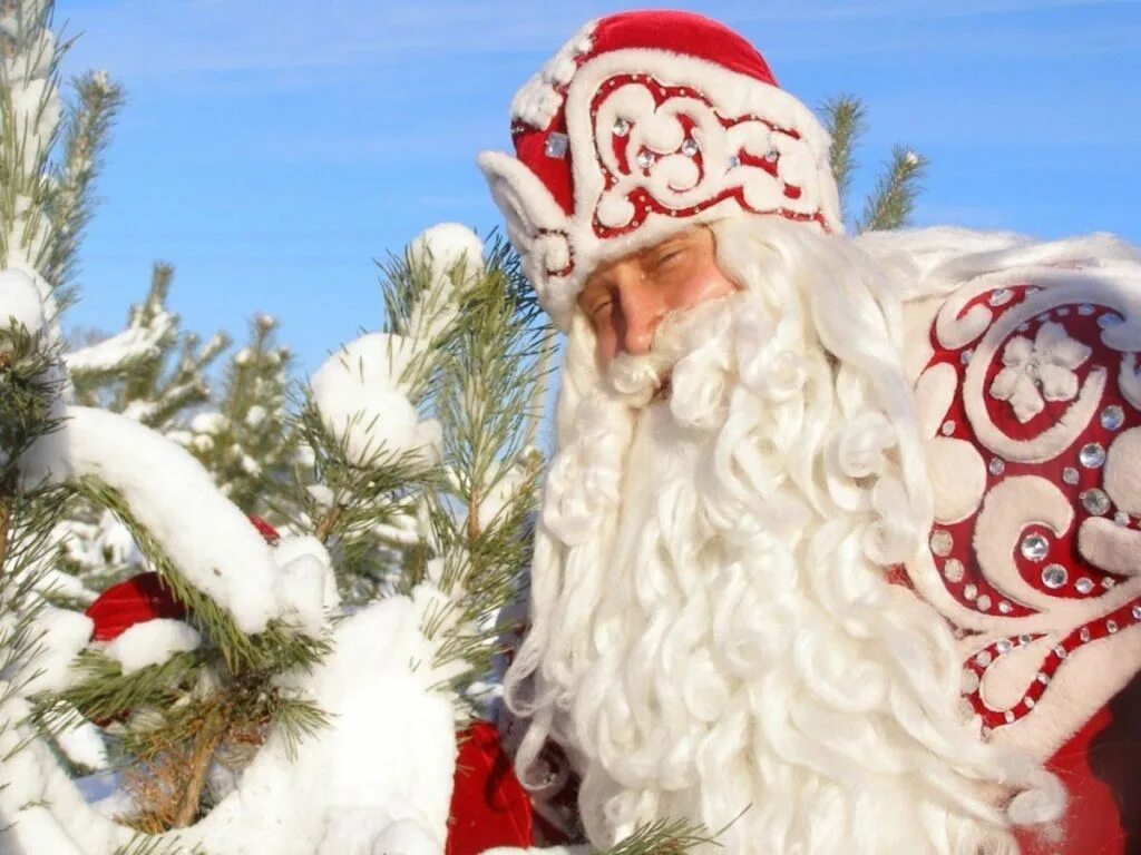 Рос дед мороз. Дед Мороз Великий Устюг. Русский дед Мороз. Настоящий дед Мороз. Снимки Деда Мороза.