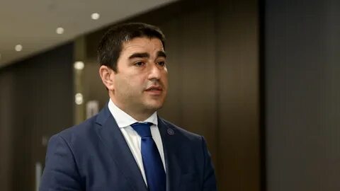 Спикер парламента грузии шалва папуашвили