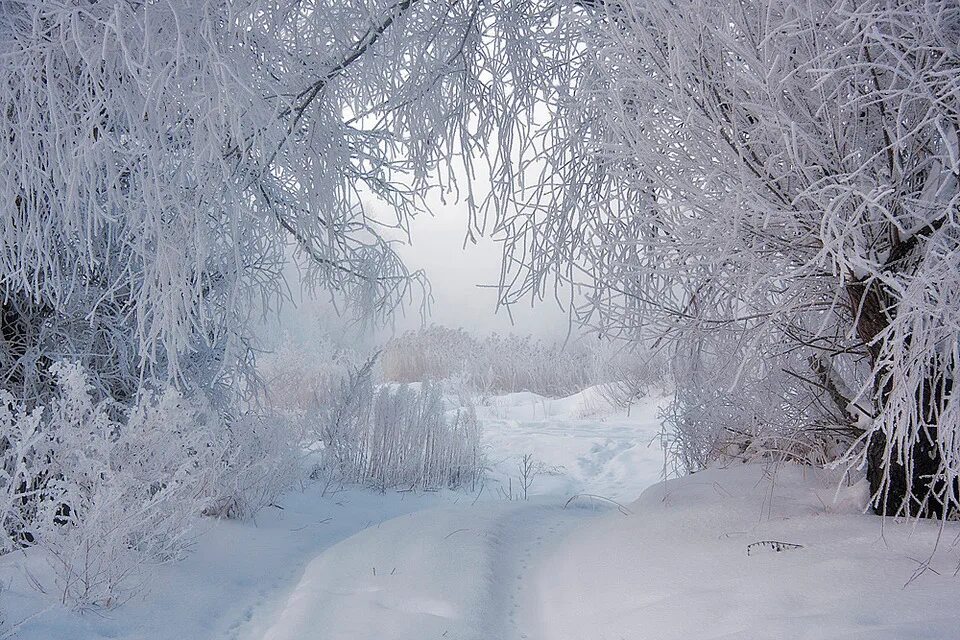 зеленодольск зима. ангелина вяльбе. снег расставание.