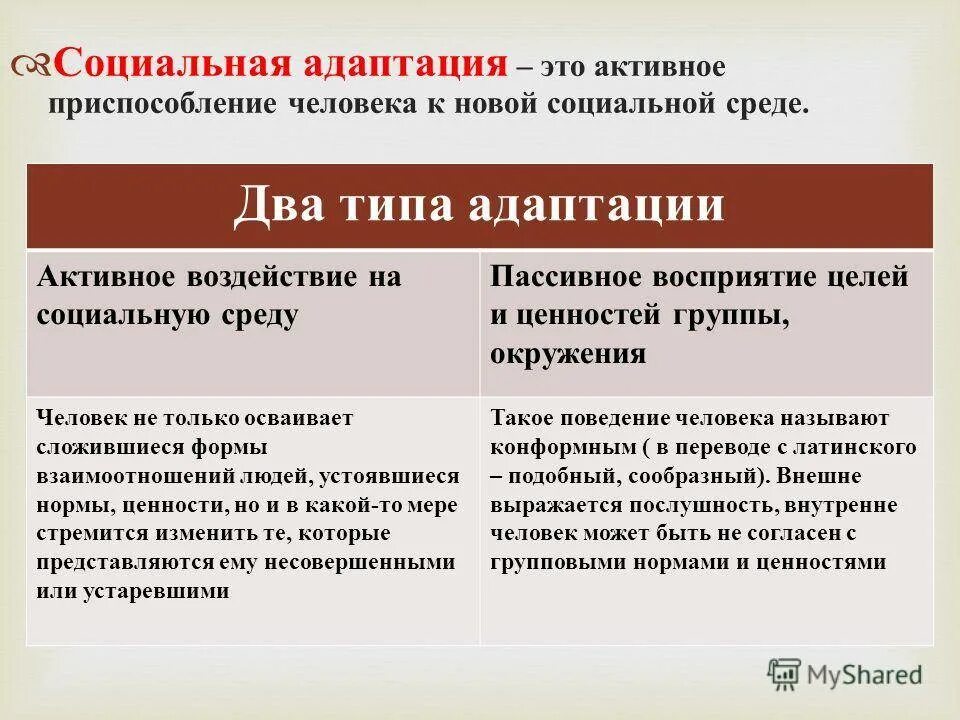 Виды социальной адаптации. Социальная адаптация примеры. Виды социальной адаптации человека. Примеры социальной адаптации человека.