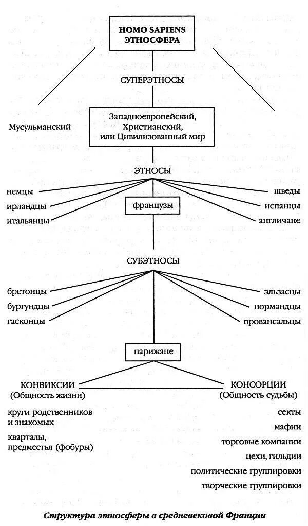Суперэтнос. Структура этносферы по Гумилёву. Структура этноса по Гумилеву. Российский суперэтнос Гумилев. Н. Гумилев структура этносферы.