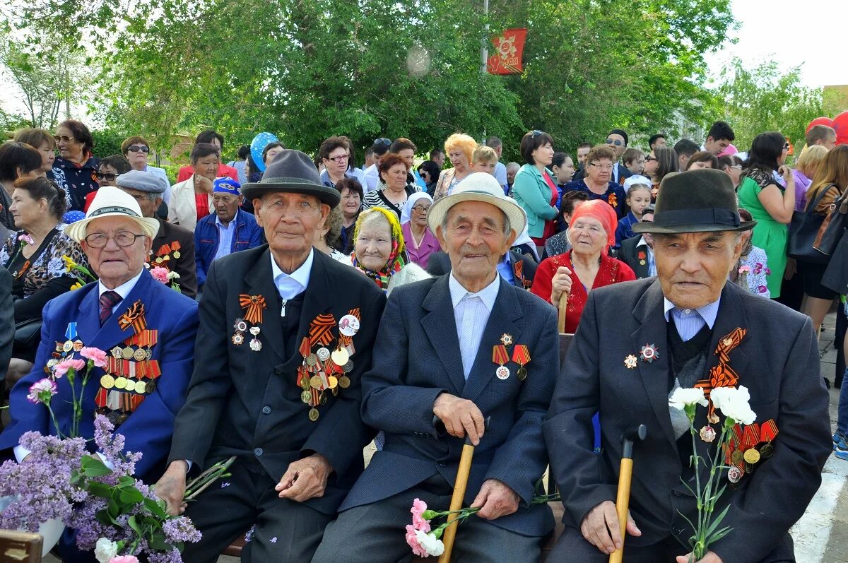 Сколько живых ветеранов великой отечественной