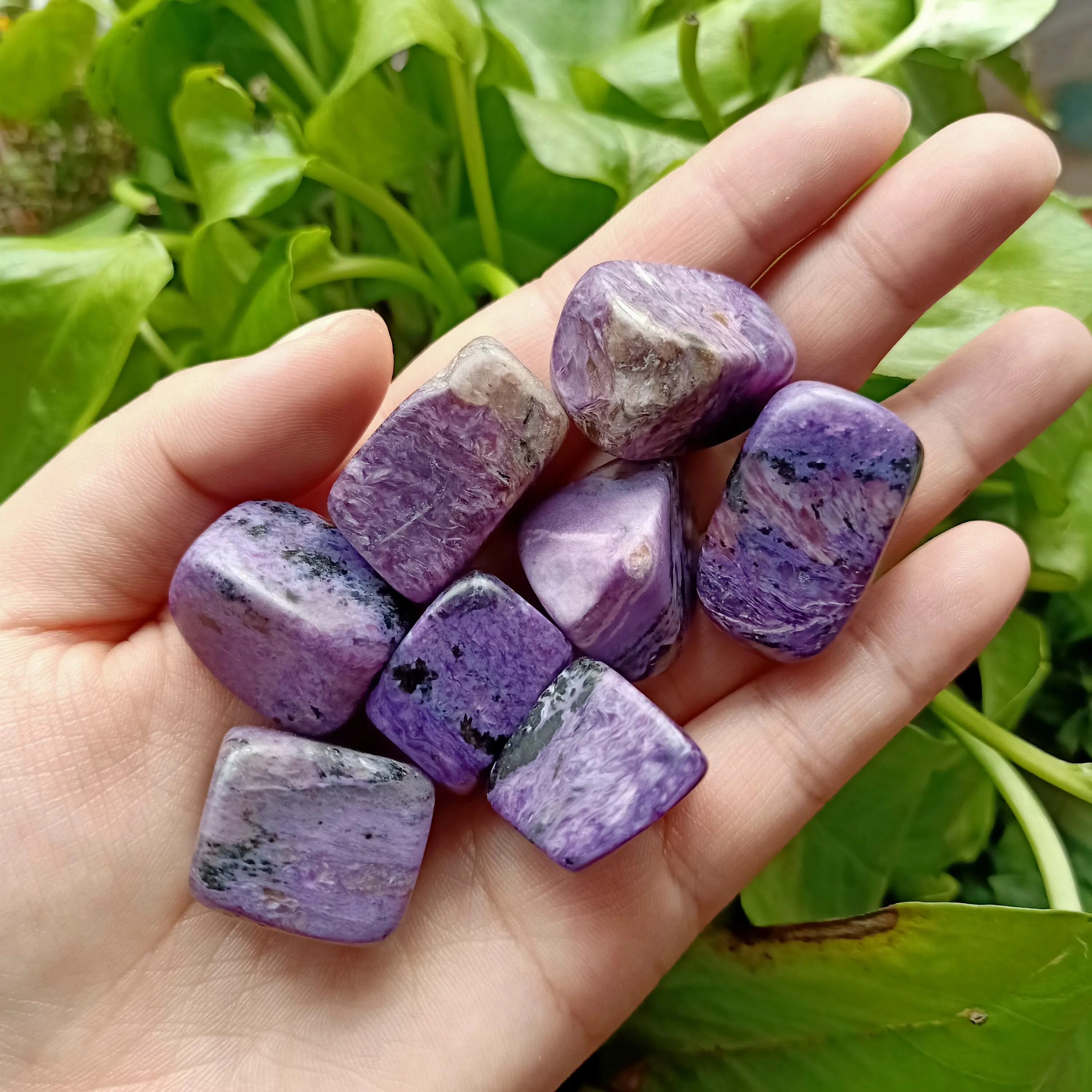 Какой камень фиолетовый. Фиолетовый камень. Сиреневый камень. Камушки фиолетовые. Лиловый камень.