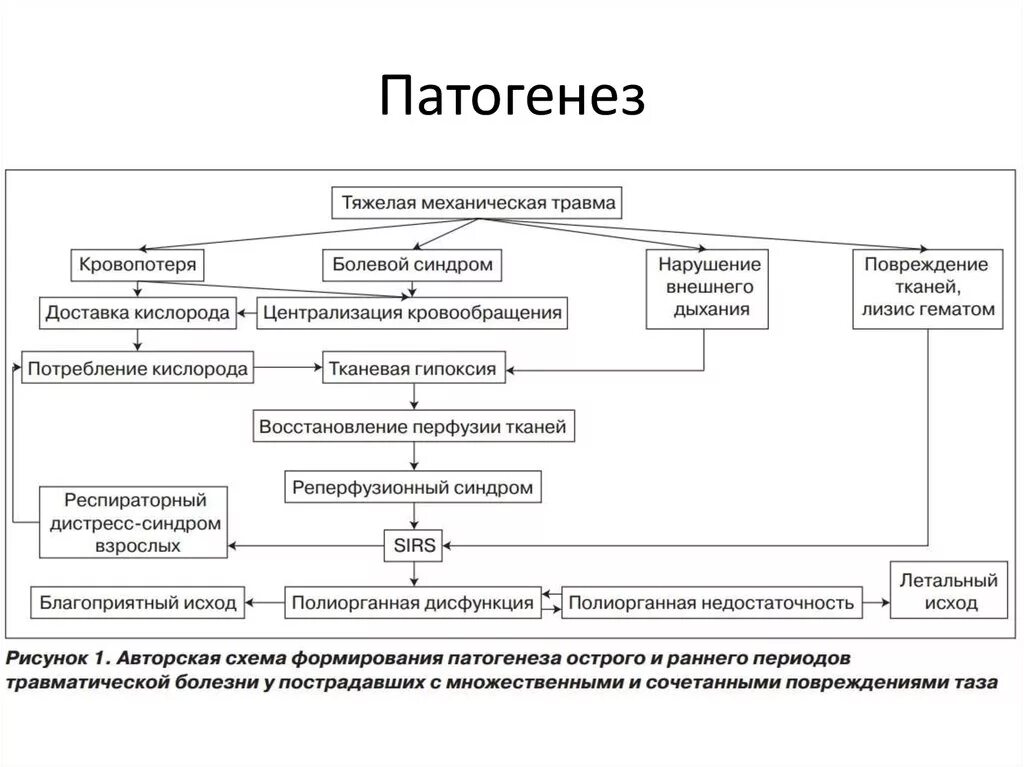 Патогенез повреждения. Синдром полиорганной недостаточности патогенез. Механизмы развития синдрома полиорганной недостаточности. Полиорганная недостаточность механизм развития. Патогенез сепсиса патофизиология.