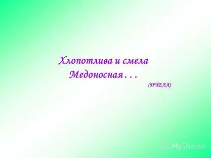 Хлопотливый
