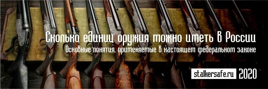 Сколько единиц оружия. Сколько разрешено иметь единиц оружия. Сколько можно иметь единиц оружия огнестрельного. Сколько единиц оружия можно иметь в России.