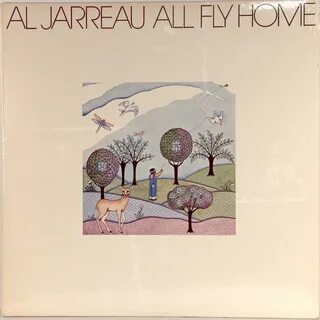 Fly home