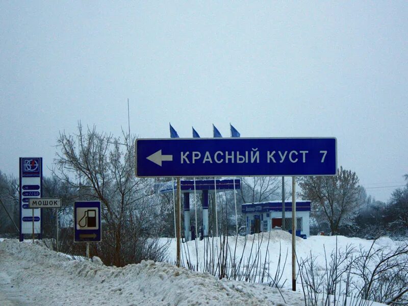 Петровск саратовской области военный городок. Продажа домов в владимирской области красный куст. Сирень венгерская живая изгородь. Джон брукс ландшафтный. Поселок красный куст мучкапский район.