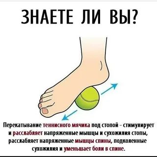 Массаж простаты теннисным мячом