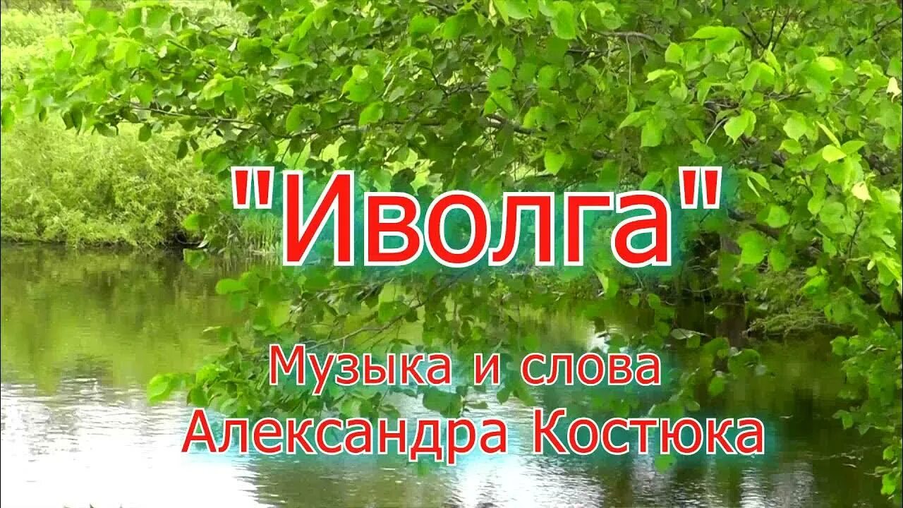 Минус песни иволга. Иволга поет над родником. Фото коллектива иволга северо-енисейский. Иволга ноты для синтезатора. Иволга текст песни.