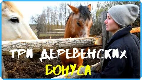 Усадьба белая лошадь последнее дзен