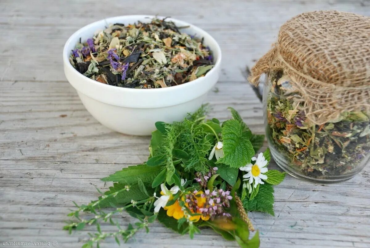 Грудной сбор 4 показания. Сбор применение. Сбор применение. Производство лекарственных сборов. Женская трава.