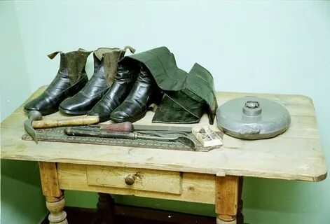 Сапожков лев