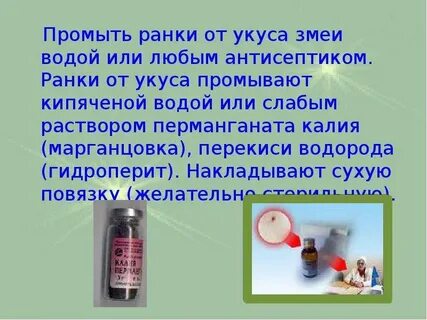 Антидот от укуса гадюки