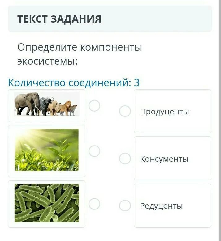Какое из следующих утверждений справедливо для продуцентов. Компоненты экосистемы продуценты. Компоненты экосистемы продуценты консументы редуценты. Определение компонентов экосистемы. Укажите компоненты экосистемы продуценты консументы редуценты.