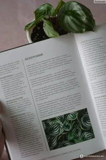 Как они растут книга