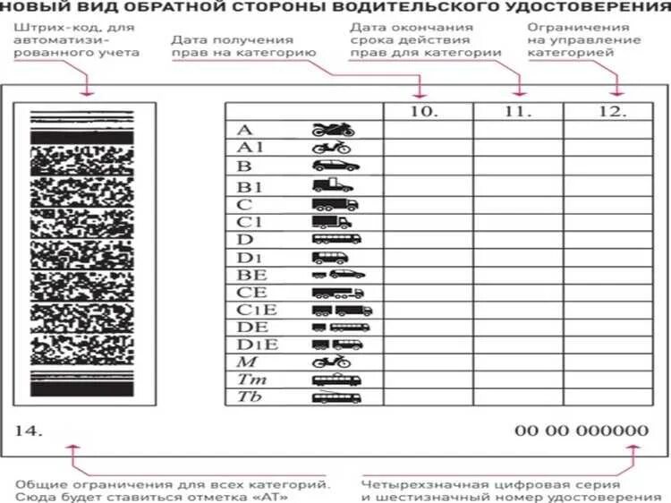 Расшифровать категории в водительском удостоверении нового образца. Категории водительских удостоверений РФ таблица. Категории водительских прав с расшифровкой в 2022. Расшифровка прав россии