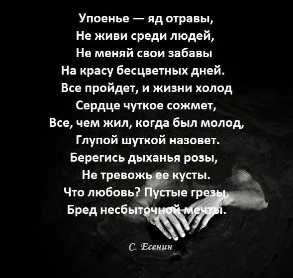 Стихотворение Есенина упоенье яд отравы. Стих Есенина упоенье яд. Стихи Есенина о любви упоенье яд. Не позабывшая ребячьих своих забав