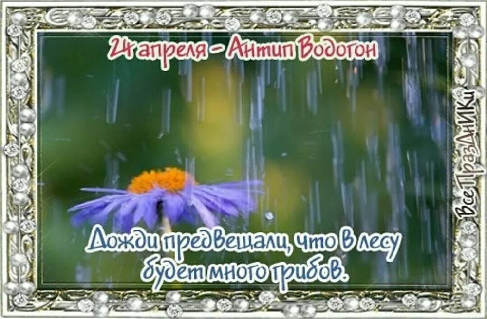 Какая дата 24 апреля. Народный праздник Антип Водогон. 24 Апреля - Антип Водогон, народные праздники. 24 Апреля Антип Водогон половод. 24 Апреля народный календарь.