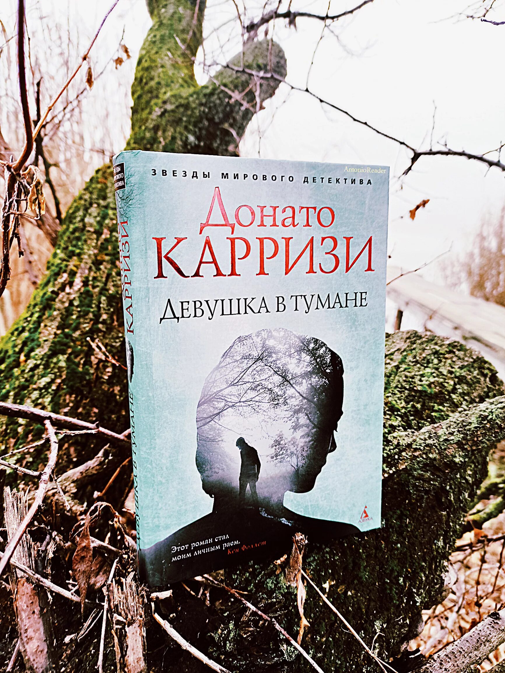 Отзывы книге туман. Донато Карризи девушка в тумане. Девушка в тумане Донато Карризи книга. Девушка в тумане обложка книги. Донато Карризи девушка в тумане аннотации.