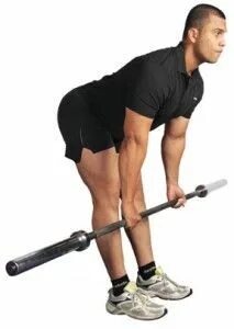 Stiff legged