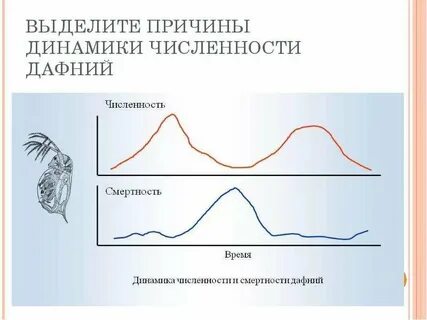 Причины динамики