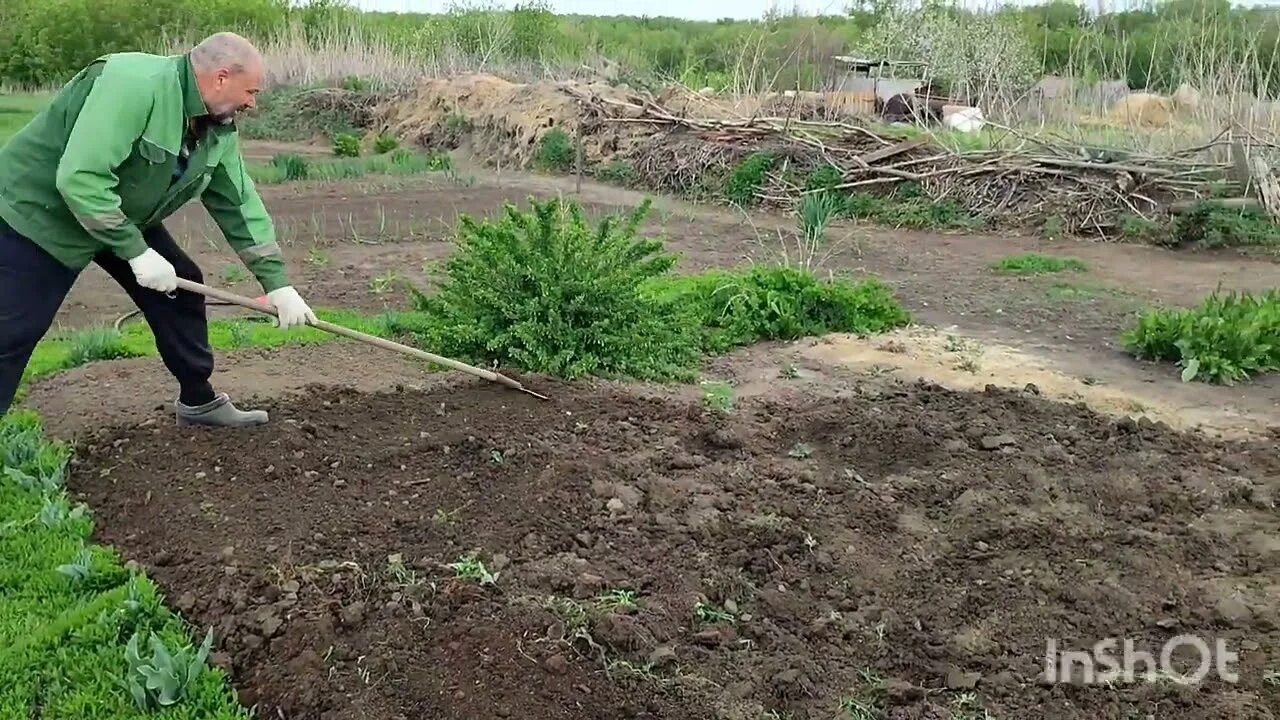 Один рабочий пропалывает грядку