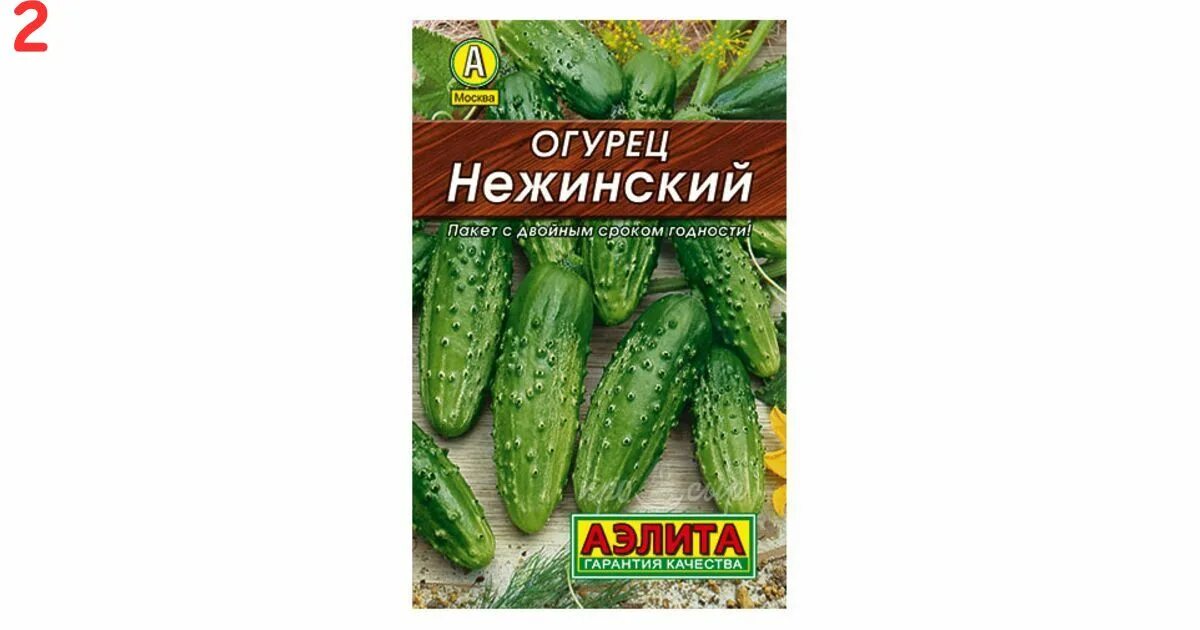 Нежинский сорт огурцов фото домашны Детский мир в Семей