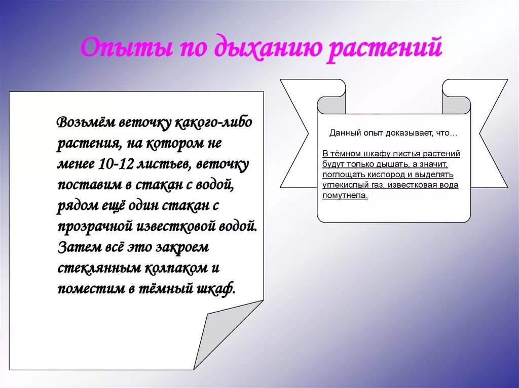 Опыт дыхание органов растений. Опыты по дыханию растений. Дыхание растений эксперимент. Опыт доказывающий дыхание растений. Эксперимент как дышат растения.