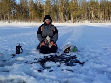 Погода в муезерском
