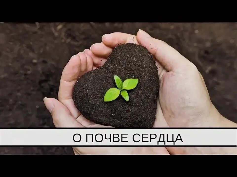 Со дня на день очерствевает сердечная почва. Росток грин биогумус. почва 6 класс география видеоурок. биодеструкторы. биодеструктор стерни.