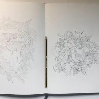 Книга рисовка