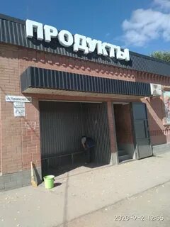 Кинель украинская