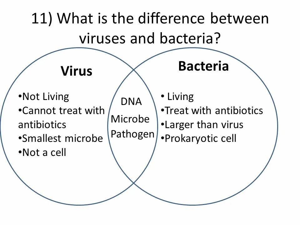What is the different. Virus and bacteria. different difference. different viruses. what is the difference between.