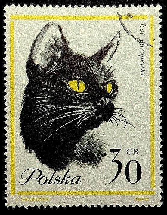 Марки кот. Кошки на почтовых марках. марки с кошками. марки с котятами. марки польши кошки.