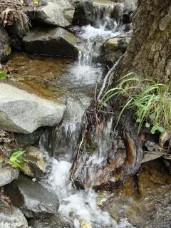 Где вода бежит
