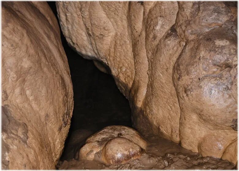 Включи кота пещеру. Фанагорийская сталактитовая пещера. Фанагорийские пещеры горячий ключ. Пещеры Фанагория. Фанагорийская и Кошачья пещеры.