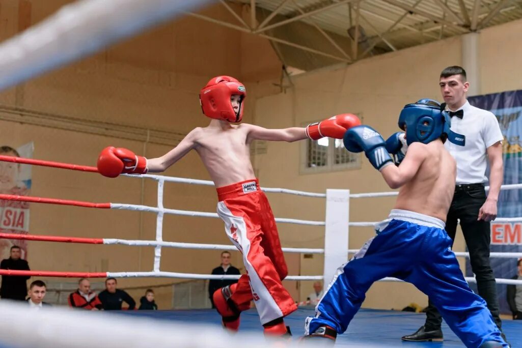 илья атанов курск кикбоксинг. кикбоксинг старый оскол. муай киеу. кикбоксинг старый. кикбоксинг старый.