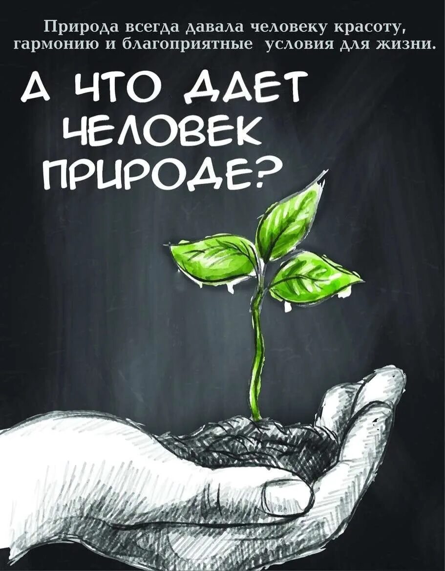 Лозунги для природы. Социальная реклама экология. Социальный плакат экология. Современный экологический плакат. Социальная реклама по экологии.