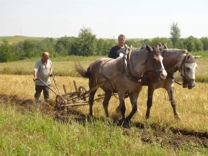 Работа в селе хорошее