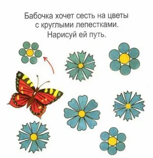 Задача про цветы 5 класс