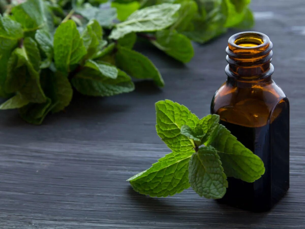 Масло мяты. Эфирное масло мяты перечной. мята перечная масло. mentha piperita essential oil. ьасло эфирное мята аромамарка.