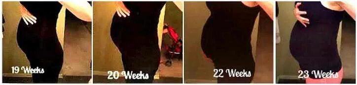 Живот на 24 неделе беременности фото. Узи двойняшек на 20 неделе беременности. Узи 15 недель беременности двойня. Узи беременности 22-23 недели. 23 неделя беременности двойней.