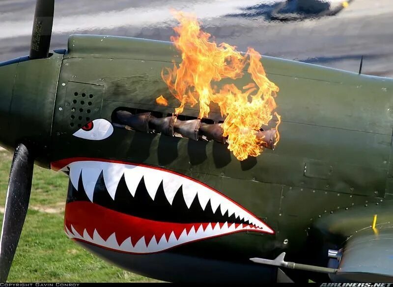 Акула самолет. Акулья пасть на самолёте. Самолет пасть. P-40 самолет. Акула самолет монстр тревора хендерсона.