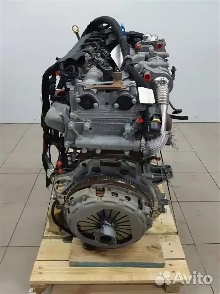 Мотор Ивеко Дейли 3.0. Двигатель Iveco Daily. Iveco Daily 3 мотор. Ивеко Дейли 35с14 двигатель 2.3.